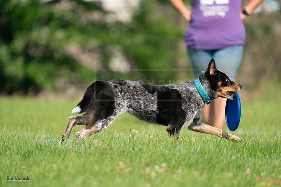 RielVisuals_20240727_094812_SJR07562