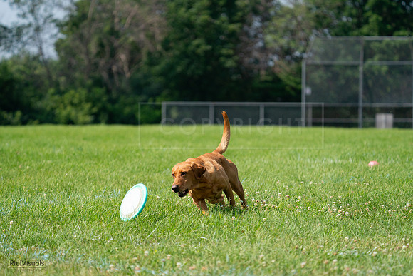 RielVisuals_20240728_103943_SJR08787