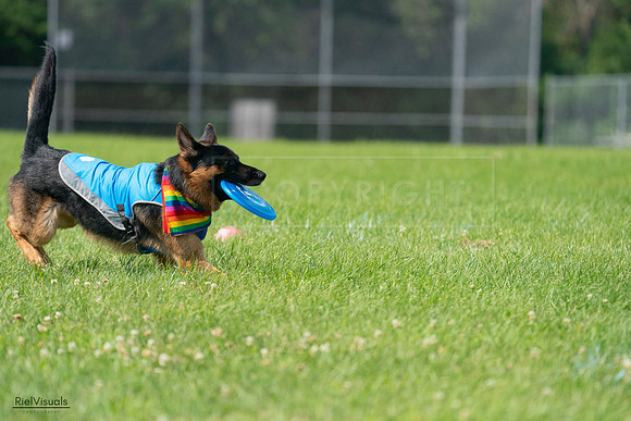 RielVisuals_20240728_104142_SJR08927