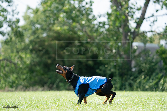 RielVisuals_20240728_145851_SJR09766