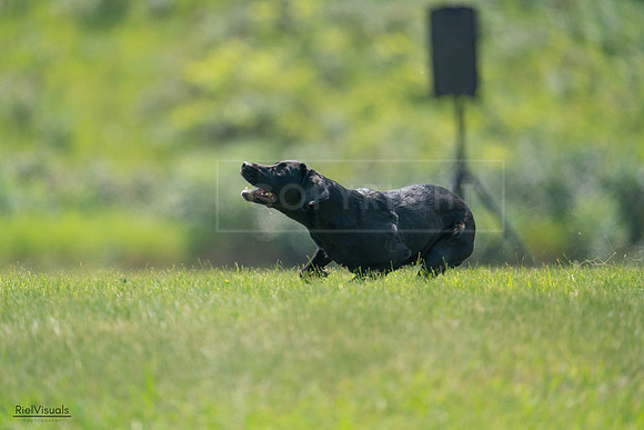 RielVisuals_20240727_121739_SJR05184