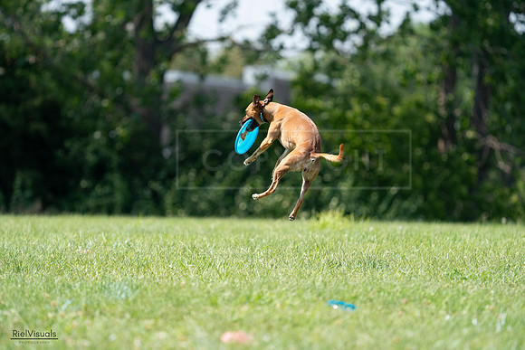 RielVisuals_20240728_150148_SJR09828