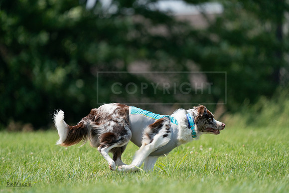 RielVisuals_20240728_142249_SJR08145
