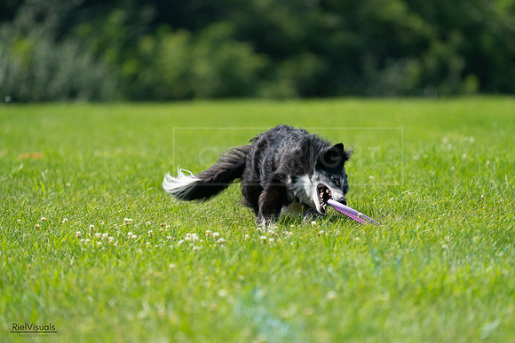 RielVisuals_20240728_122208_SJR03720