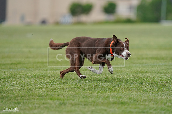 RielVisuals_20240525_162515_SJR04356