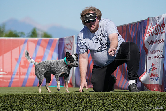 SJR04903