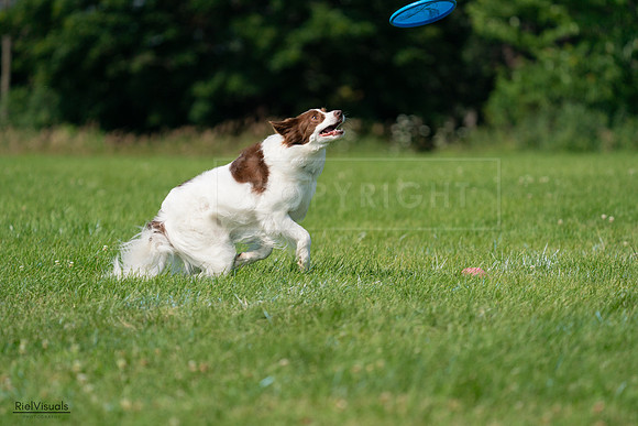 RielVisuals_20240728_102146_SJR07928