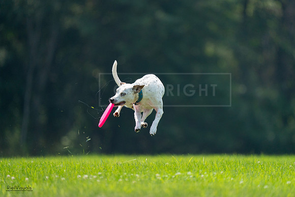 RielVisuals_20240727_120958_SJR04889