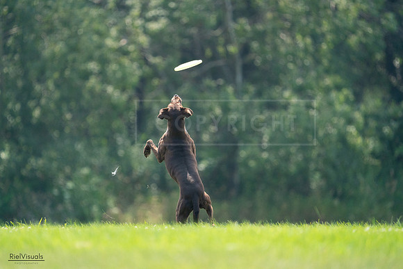 RielVisuals_20240727_123415_SJR05922