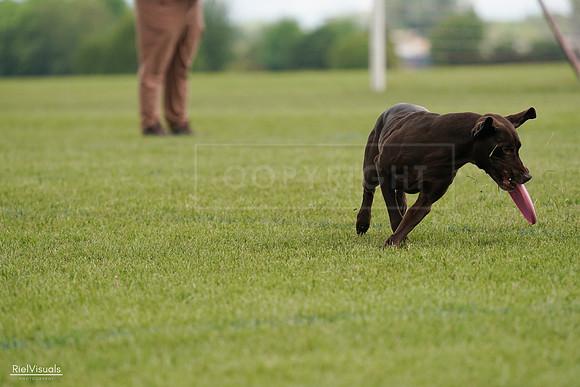 RielVisuals_20240527_140511_SJR01374