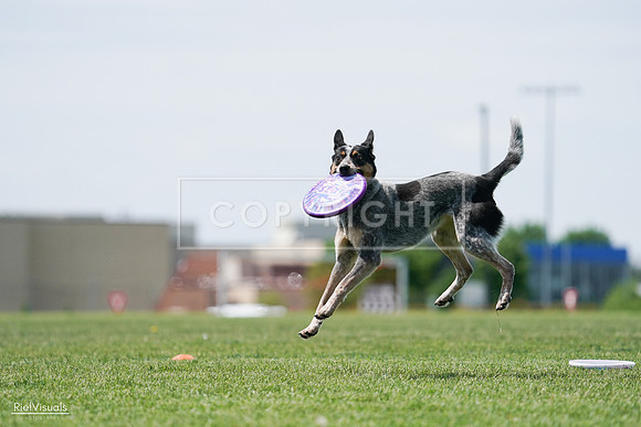 RielVisuals_20240525_122322_SJR09703