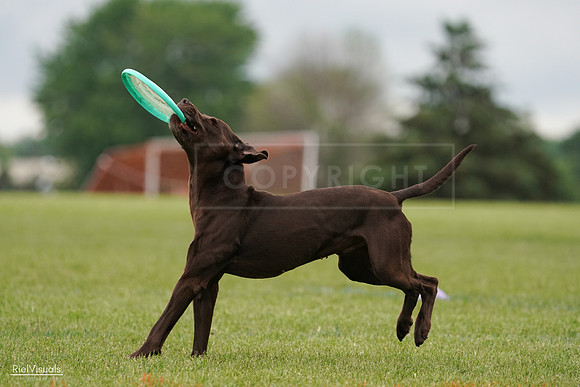 RielVisuals_20240527_132520_SJR09699