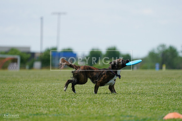 RielVisuals_20240525_124035_SJR00768