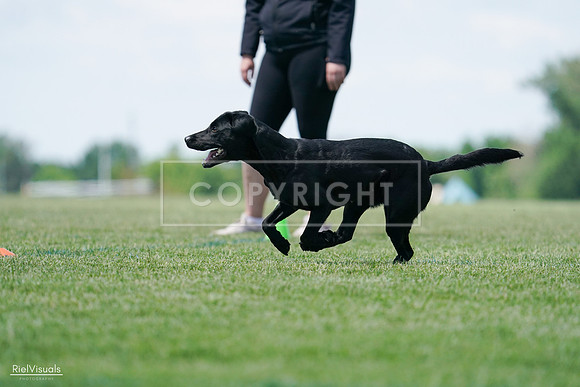 RielVisuals_20240525_121059_SJR09022