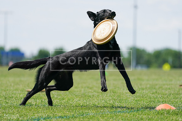 RielVisuals_20240525_122603_SJR09891