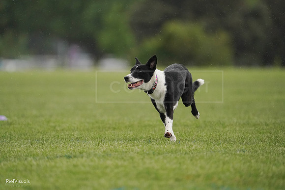 RielVisuals_20240526_093444_SJR00465