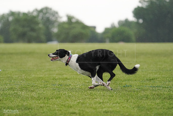 RielVisuals_20240526_093359_SJR00382