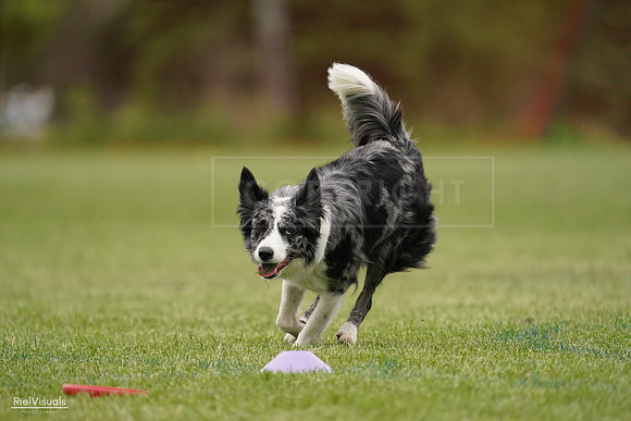 RielVisuals_20240526_133315_SJR08193