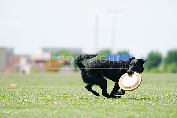RielVisuals_20240525_122458_SJR09770