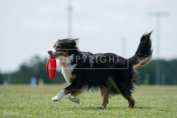 RielVisuals_20240525_122832_SJR09956
