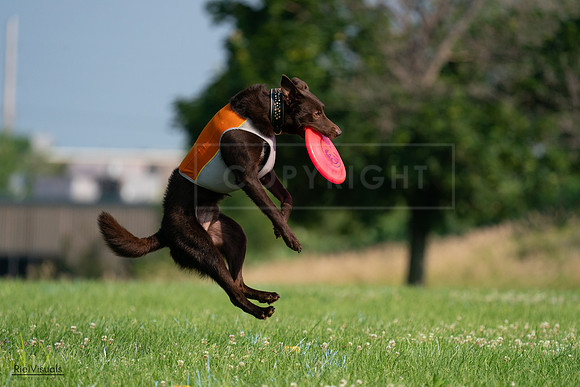 RielVisuals_20240727_092457_SJR06207