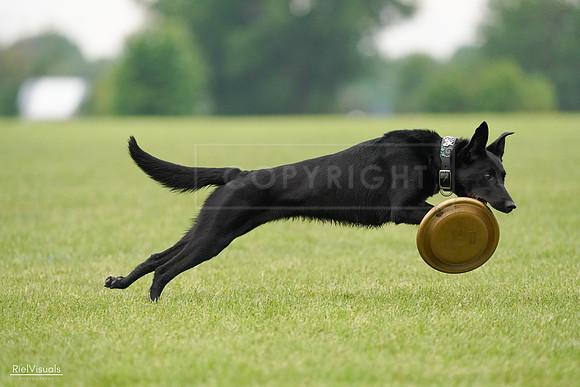 RielVisuals_20240527_110404_SJR02778