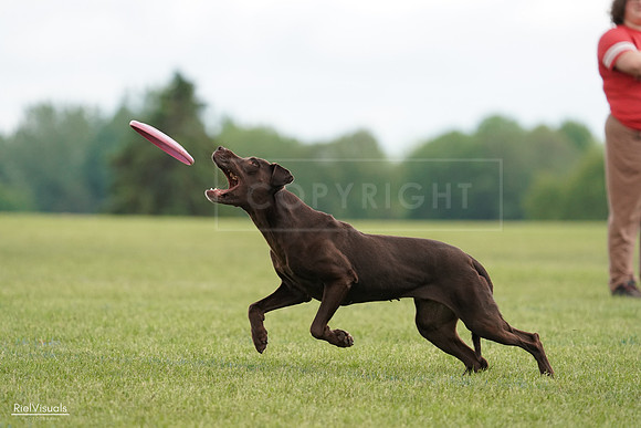 RielVisuals_20240527_140524_SJR01411
