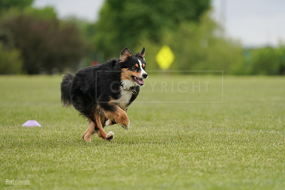 RielVisuals_20240526_135318_SJR09462