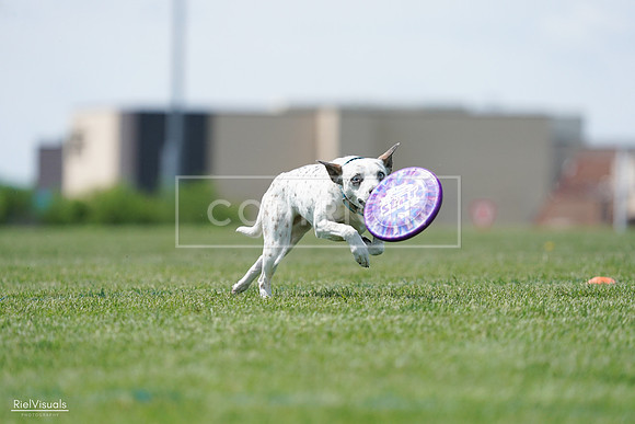 RielVisuals_20240525_120327_SJR08473