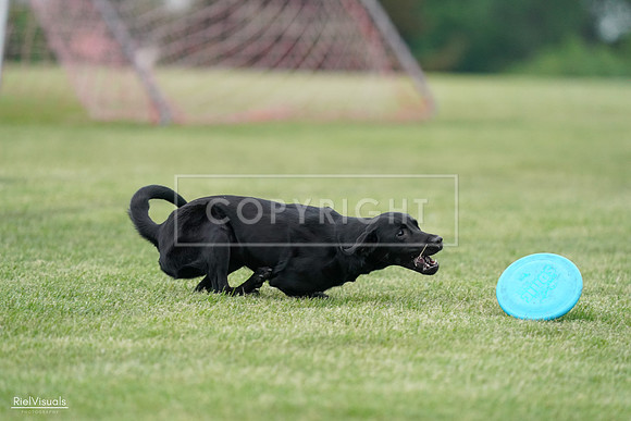 RielVisuals_20240525_170457_SJR06006