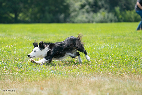 RielVisuals_20240728_130401_SJR04974