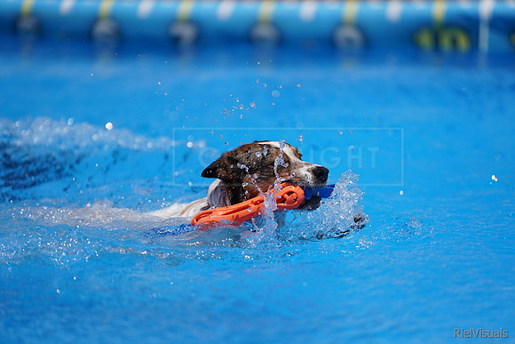 SJR06532