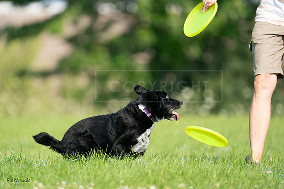 RielVisuals_20240727_094427_SJR07448