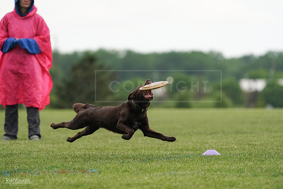 RielVisuals_20240526_091040_SJR09347