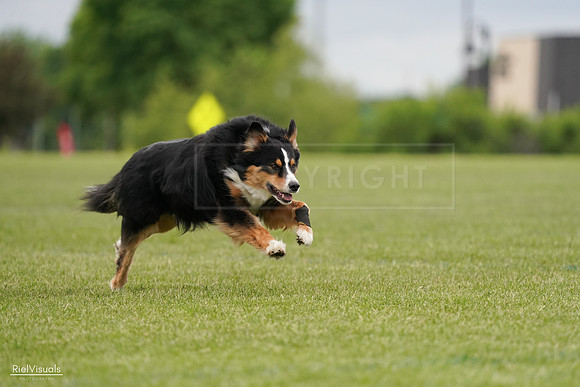 RielVisuals_20240526_135319_SJR09464