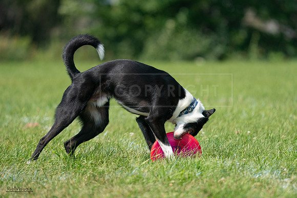 RielVisuals_20240728_120157_SJR02658