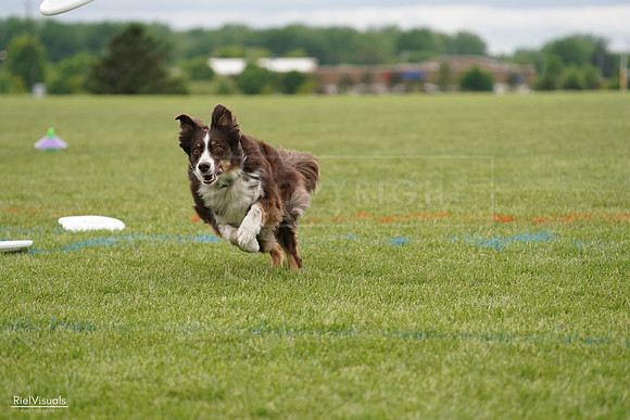 RielVisuals_20240526_140719_SJR09569