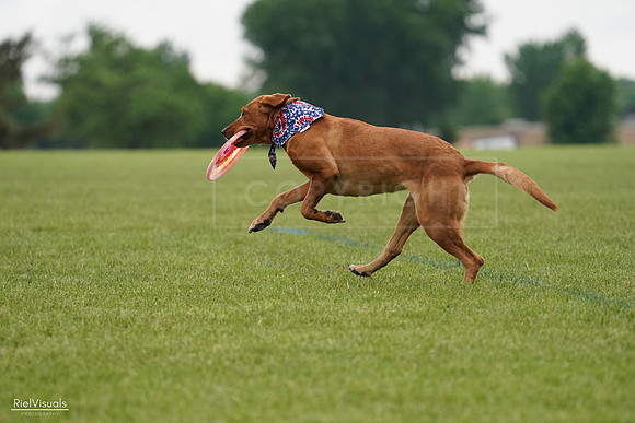 RielVisuals_20240527_113525_SJR03973