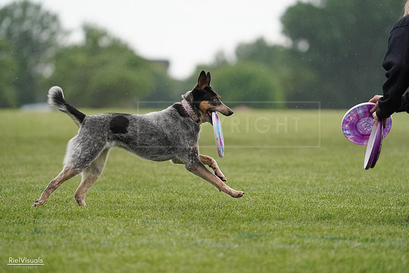 RielVisuals_20240526_091756_SJR09595