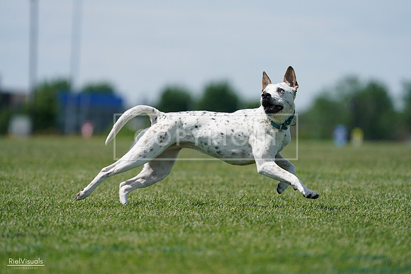 RielVisuals_20240525_120300_SJR08395