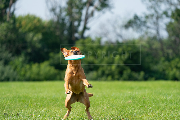 RielVisuals_20240728_104001_SJR08816
