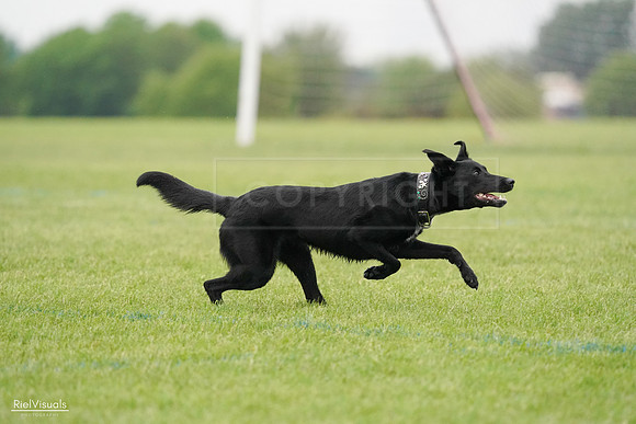 RielVisuals_20240527_110248_SJR02657