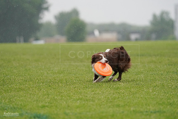 RielVisuals_20240527_104328_SJR01332