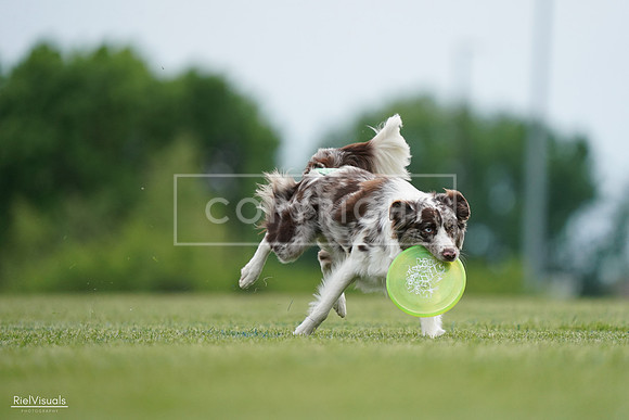 RielVisuals_20240525_161058_SJR03710