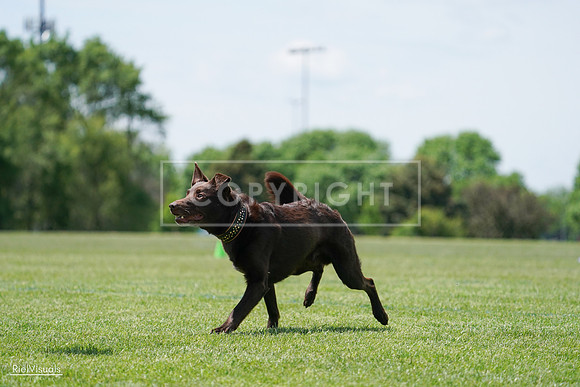 RielVisuals_20240525_120801_SJR08736