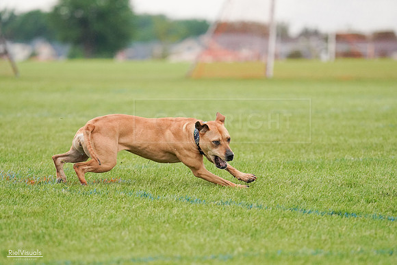 RielVisuals_20240527_111232_SJR03480