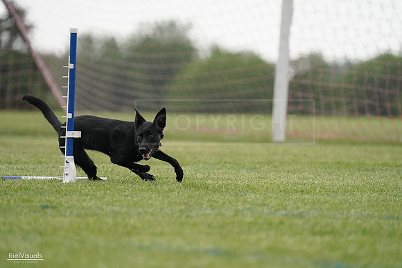 RielVisuals_20240526_091301_SJR09466