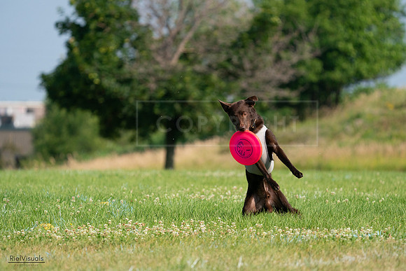 RielVisuals_20240727_092508_SJR06254