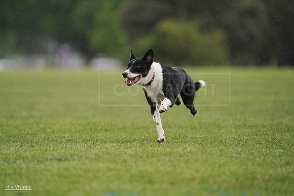 RielVisuals_20240526_093444_SJR00464