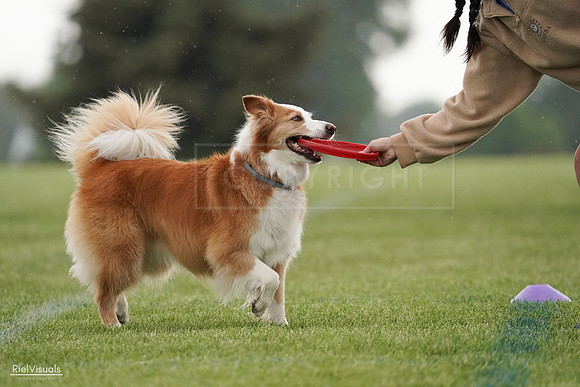 RielVisuals_20240526_094014_SJR00728